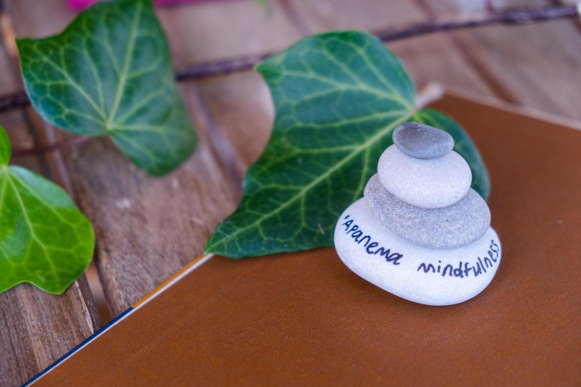 Apanema Mindfulness Resort Lefkada Asprogerakata エクステリア 写真