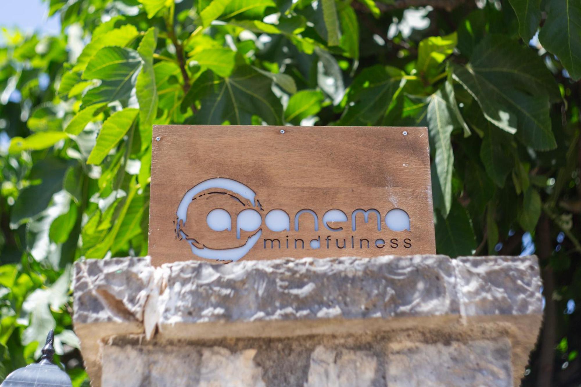 Apanema Mindfulness Resort Lefkada Asprogerakata エクステリア 写真